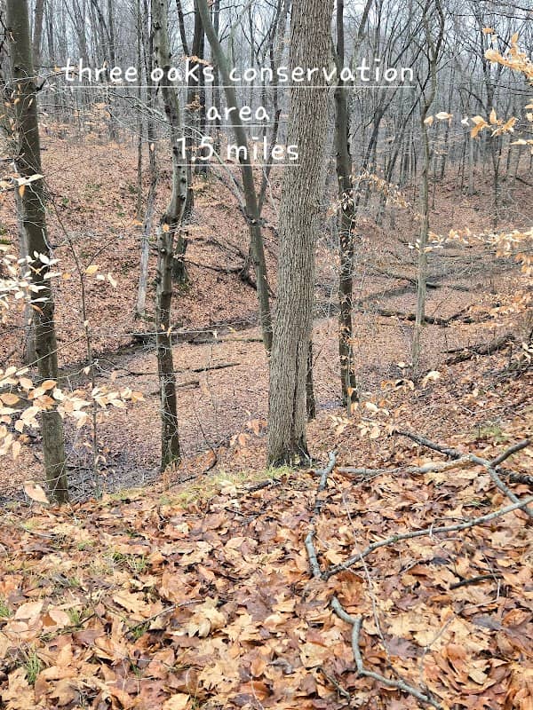 Kesling Nature Preserve - Image 1