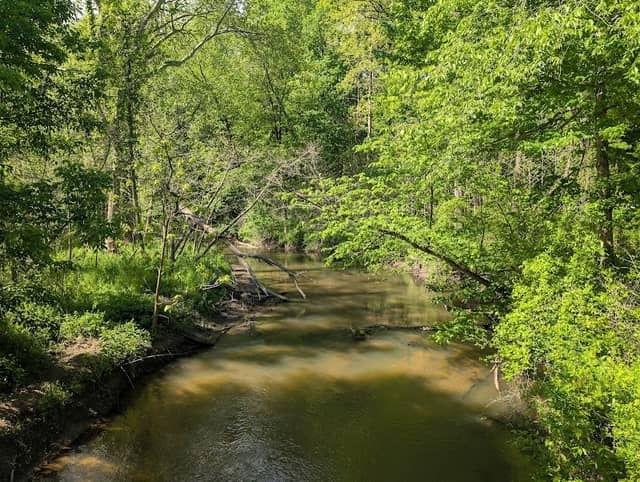 Kesling Nature Preserve - Image 2