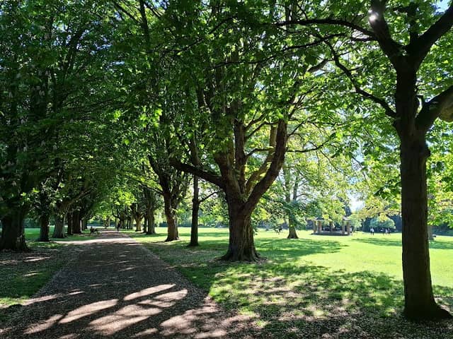 Florence Park - Image 1