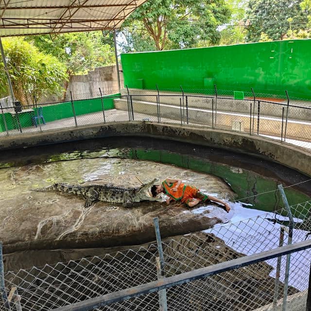 Samui Crocodile Farm - Image 2