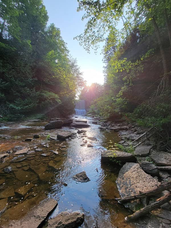 Indian Falls Conservation Area - Image 1