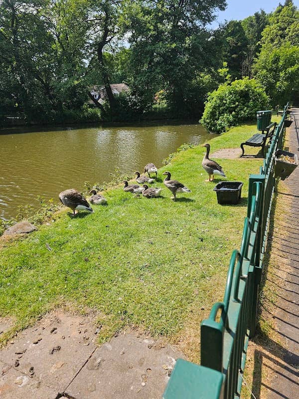 Meriden Pool - Image 2