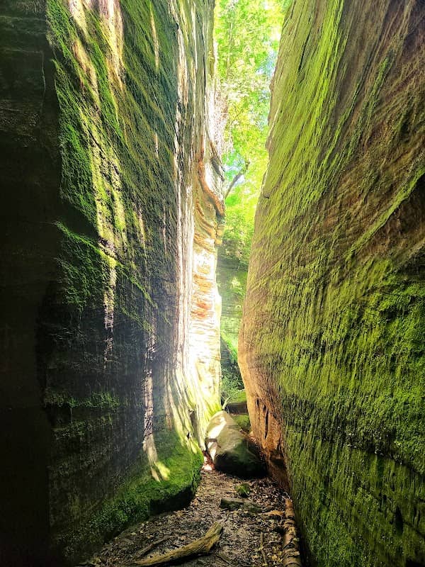 Glacier Cave - Image 1