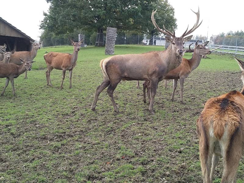 Wildpark Peter und Paul - Image 1