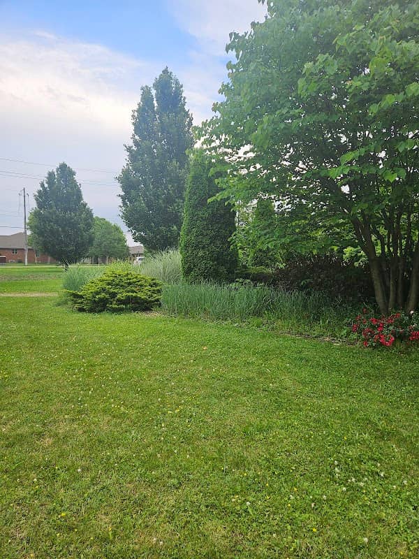 CJ's Park - Image 2