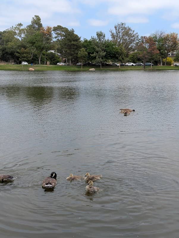 Santee Lakes Foundation Wood Duck Nesting Box - Image 3