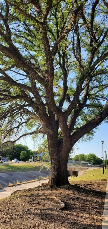 Stewart Park - Image 2