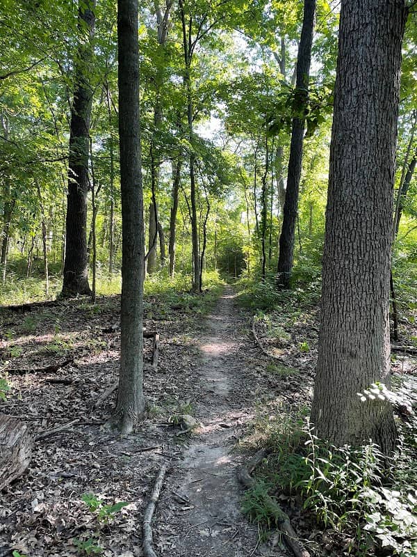 Stapp Nature Area - Image 1