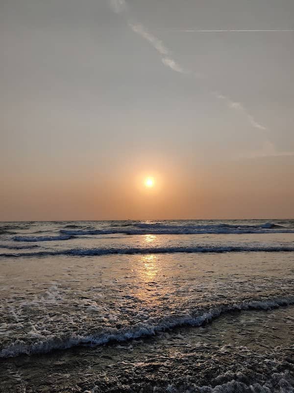 Velas beach turtle beach - Image 1