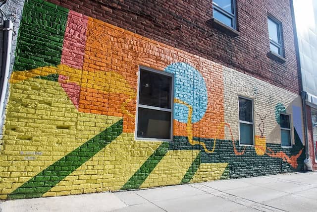 Nina Shahin Mural (A2AC Murals) - Image 2