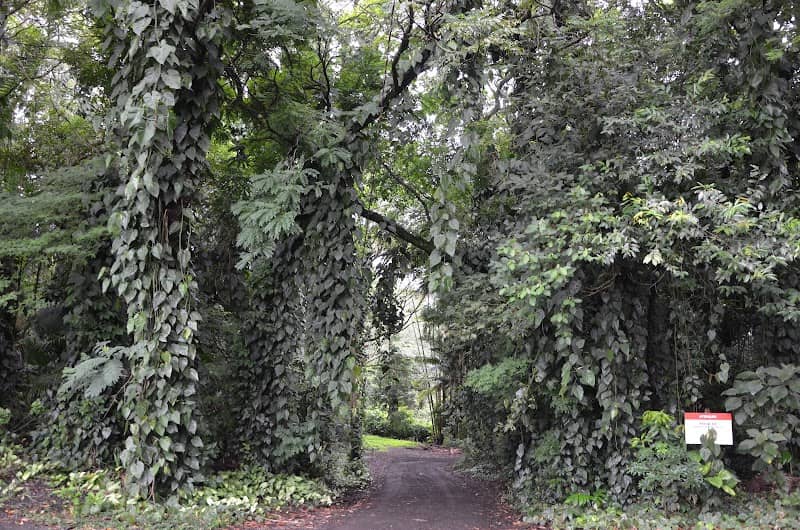 Jardim Zoobotânico - Image 1