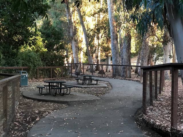 Dog park - Image 1