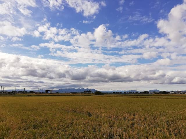 Tsukakoshi Park - Image 1