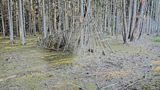 Ultra Babo Wald Camp - Image 1