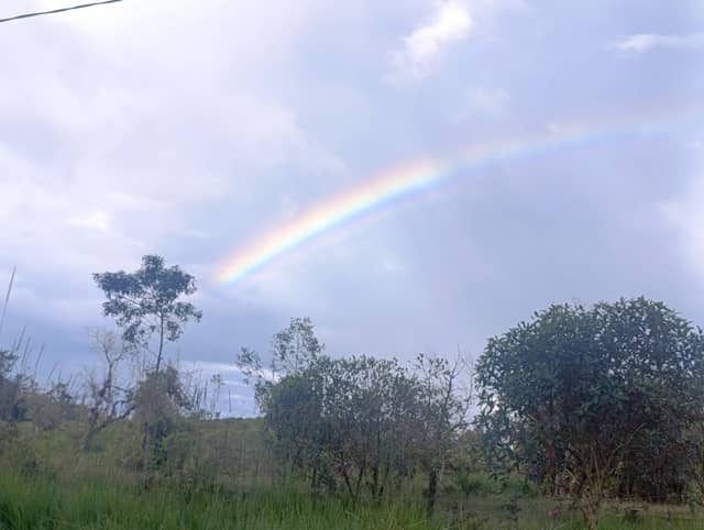 Reserva Yaguar - Image 2