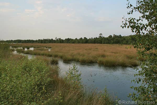 Vogelkijkhut 't Krik-eantie - Image 1
