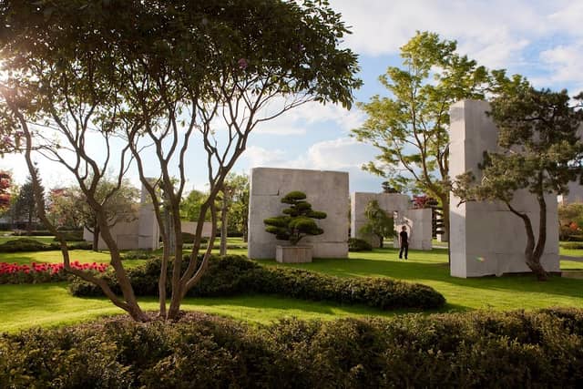 Enea Tree Museum - Image 2