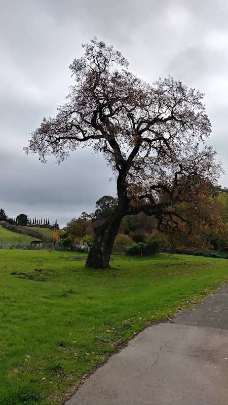 Ohlone Park - Image 2