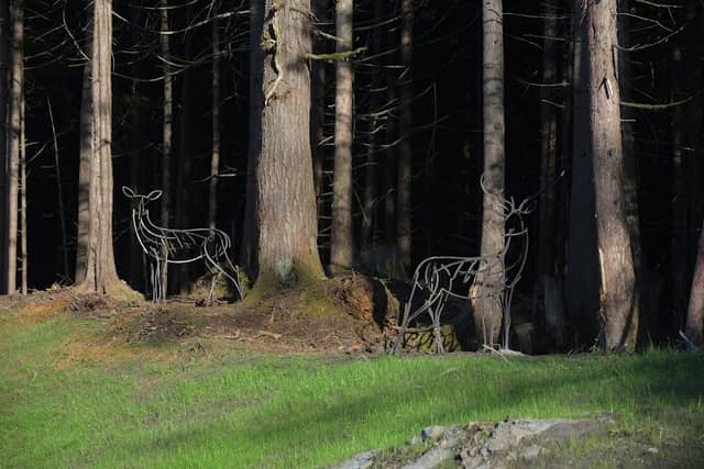 Prince Rupert Deer Sculptures - Image 1