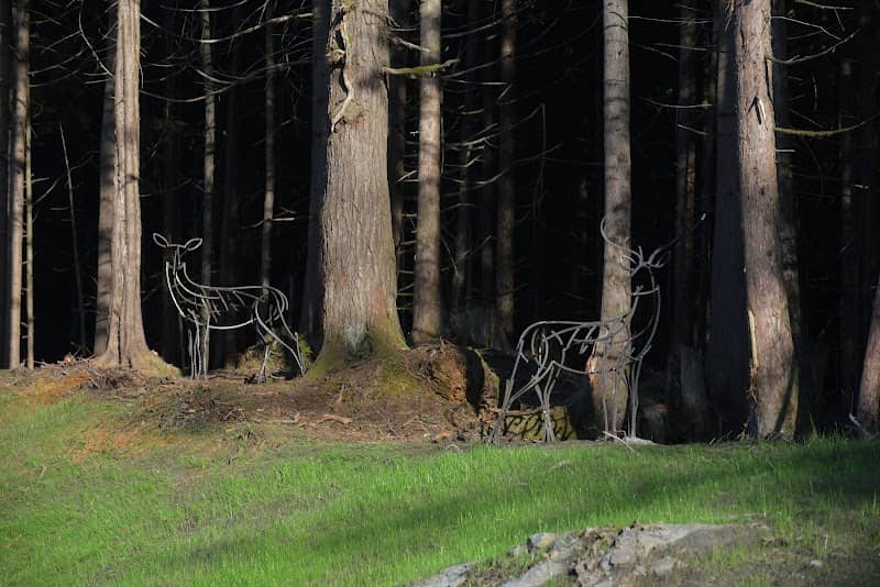 Prince Rupert Deer Sculptures - Image 1