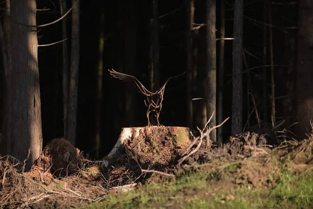 Prince Rupert Deer Sculptures - Image 2