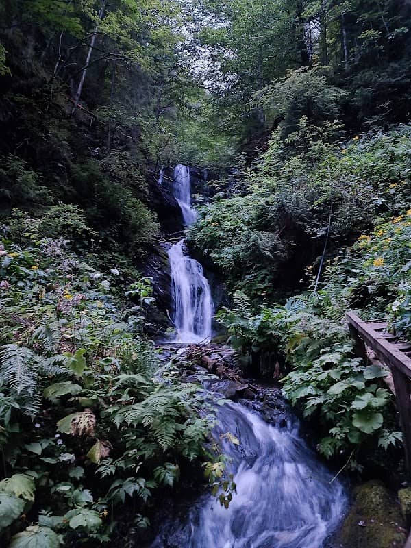 Cascada Piscul Negru - Image 1
