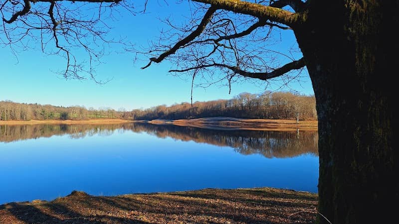 Etang de la Mazelle - Image 1