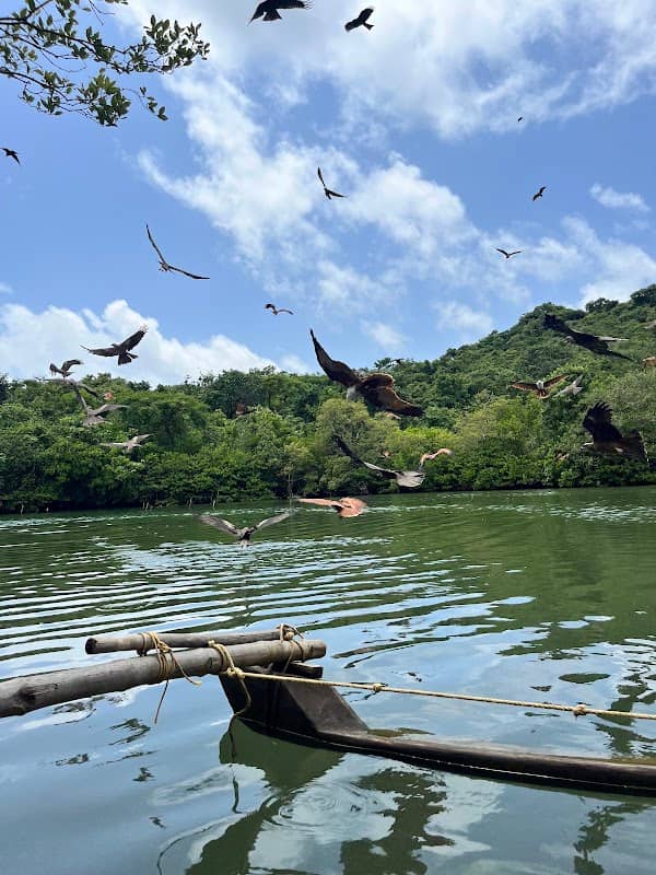 PALOLEM BEACH MANGROVE FOREST - Image 1