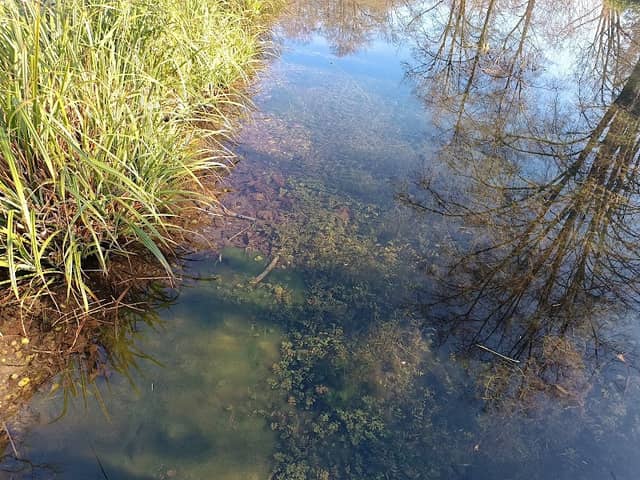 Kneippbecken - Image 1