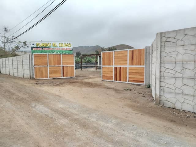 FUNDO EL OLIVO - Image 2