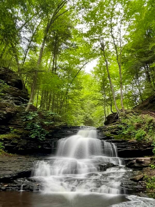 Onondaga Falls - Image 1