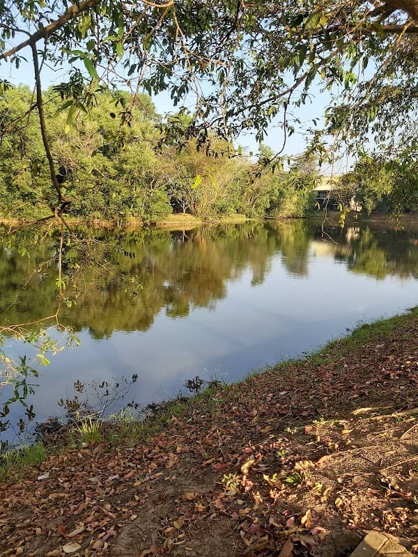 Nivasipura Pond - Image 1