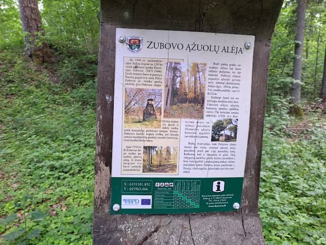 Grafo Zubovo ąžuolų alėja - Image 1