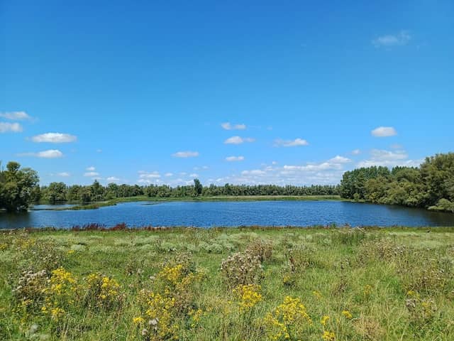Oude Waal - Image 2