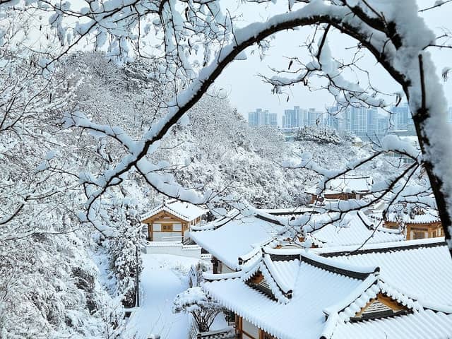Sejong Hanok Village - Image 2