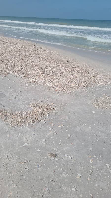 17th Ave beach access - Image 2