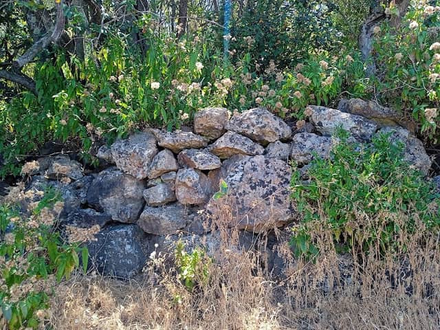Pucará Inca del Cerro La Muralla - Image 2