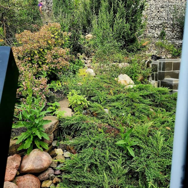 Pocket Park - Image 3