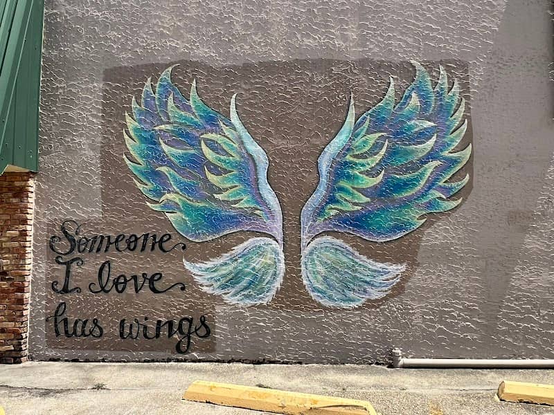 Picayune Angel Wings Mural - Image 1