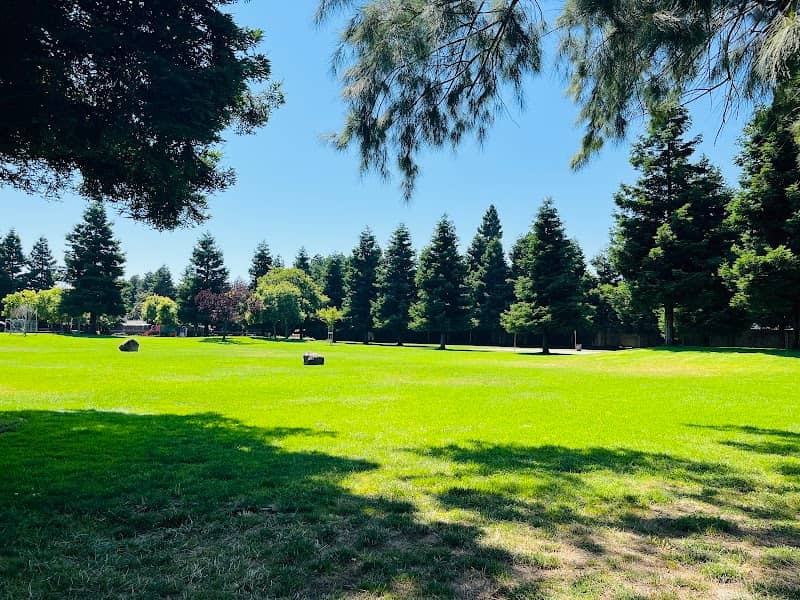 Halcyon Park - Image 2