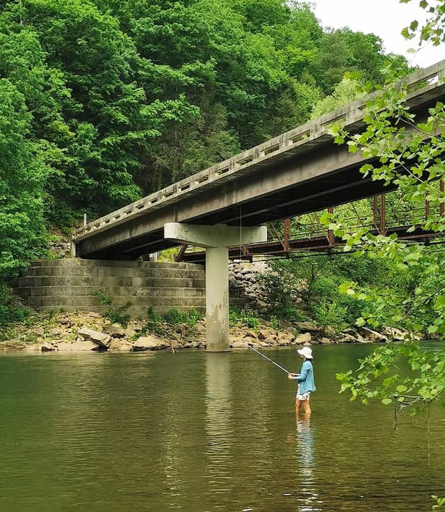 Nemo Tunnel trail - Image 2