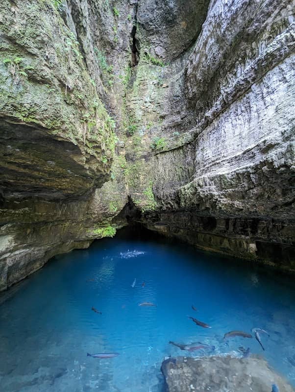 Roaring river state park - Image 1