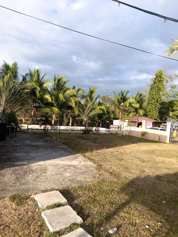 el Jaguar Garden - Image 1