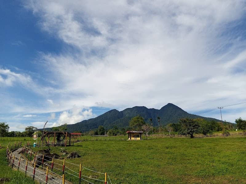 Pdg mengatas - Image 1