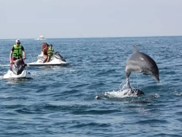 Djerba activité - Image 2