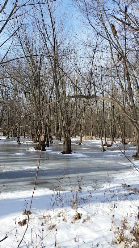 Milwaukee River Floodplain Forest State Natural Area - Image 2