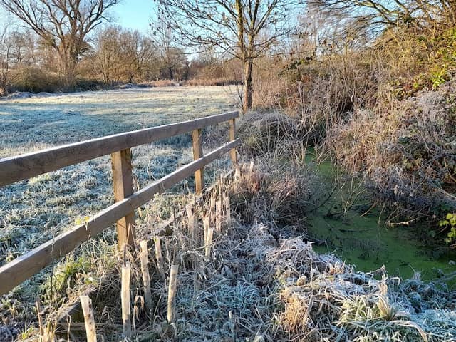 Marty’s Marsh - Image 2