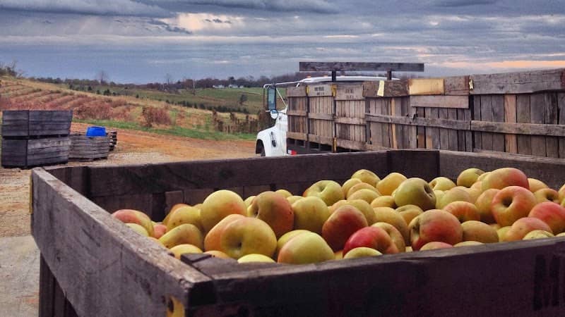 Morris Orchard - Image 1
