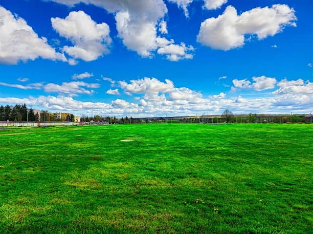 Aréna park - Image 1