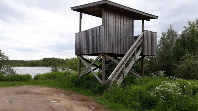 Observation deck - Image 1